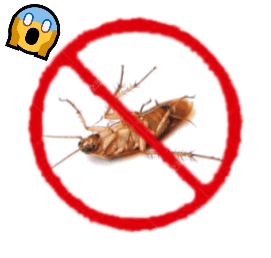 Les différences entre les insecticides naturels et chimiques pour lutt ...